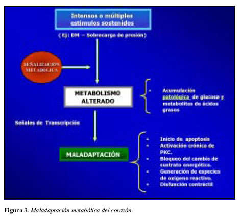  on Acta Medica Colombiana   Metabolic Syndrome And Heart Failure