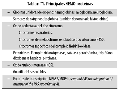 Grupo Hemo